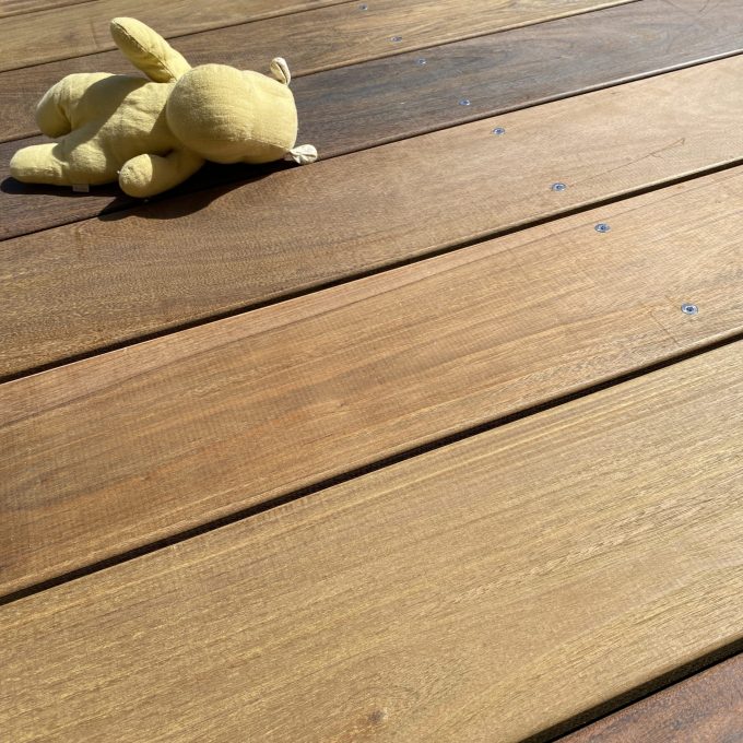 Peluche jaune sur lames de terrasse en pin sylvestre autoclave classe 3 marron clair