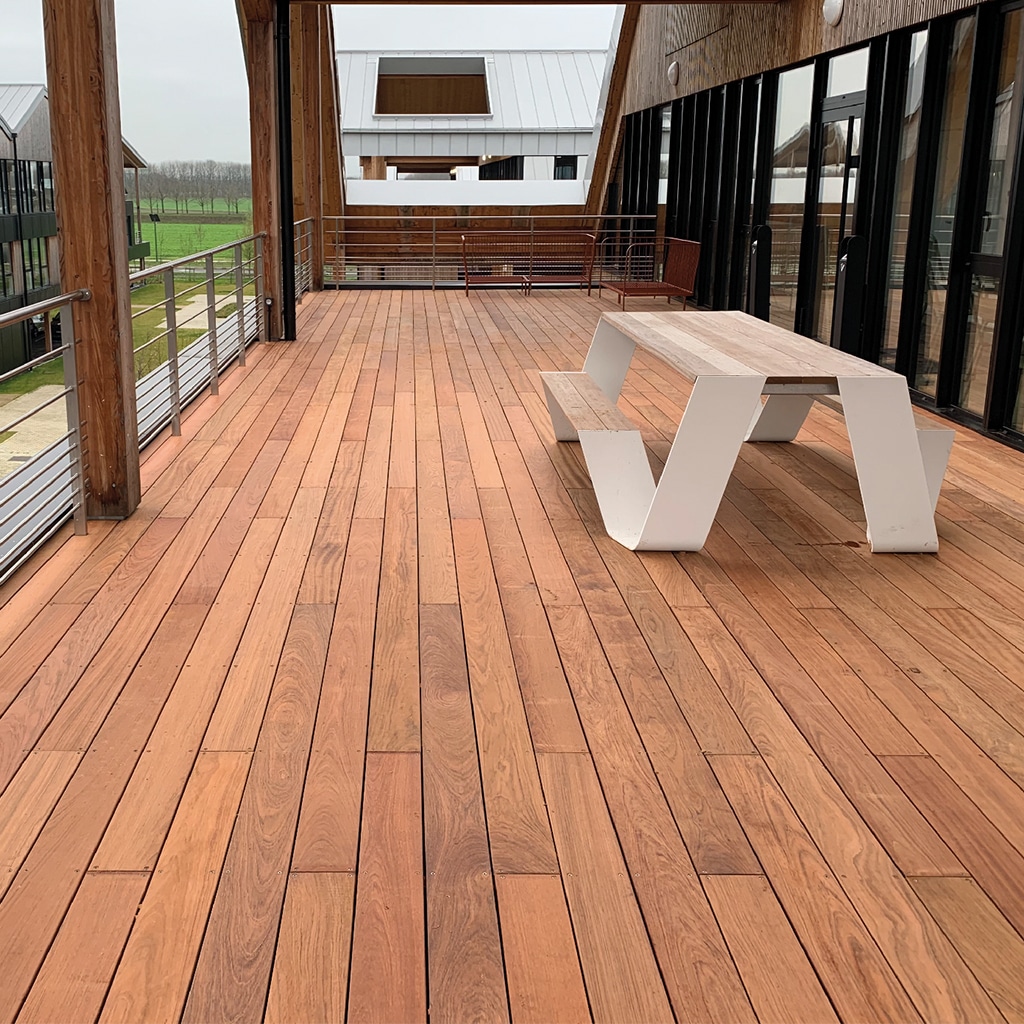 Terrasse bois jatoba entretenir