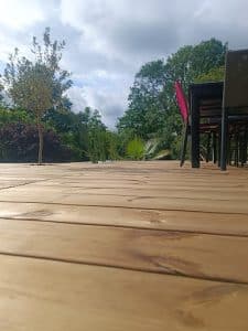 Photo jointe à cet avis