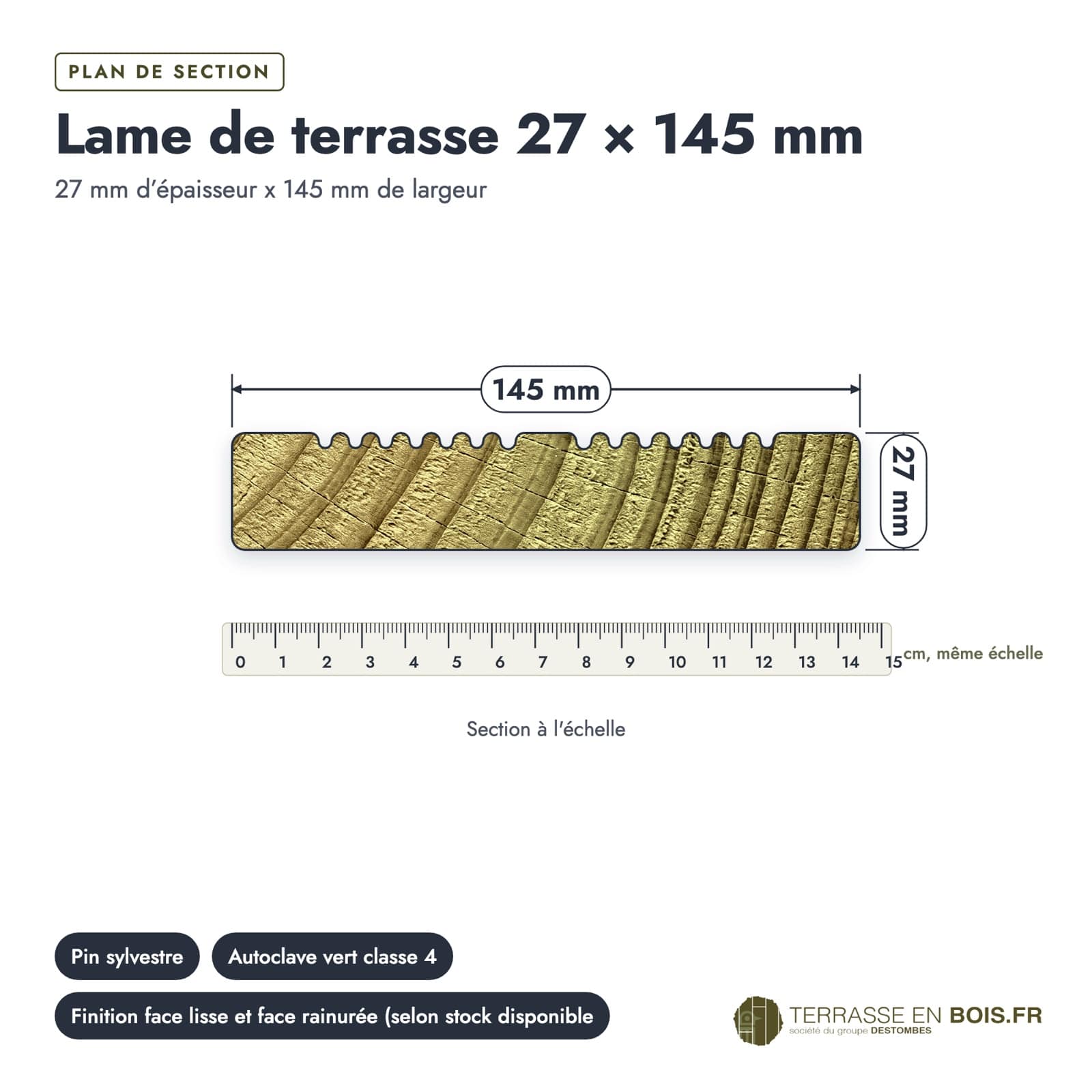 Lame terrasse pin autoclave vert : plan de section coté
