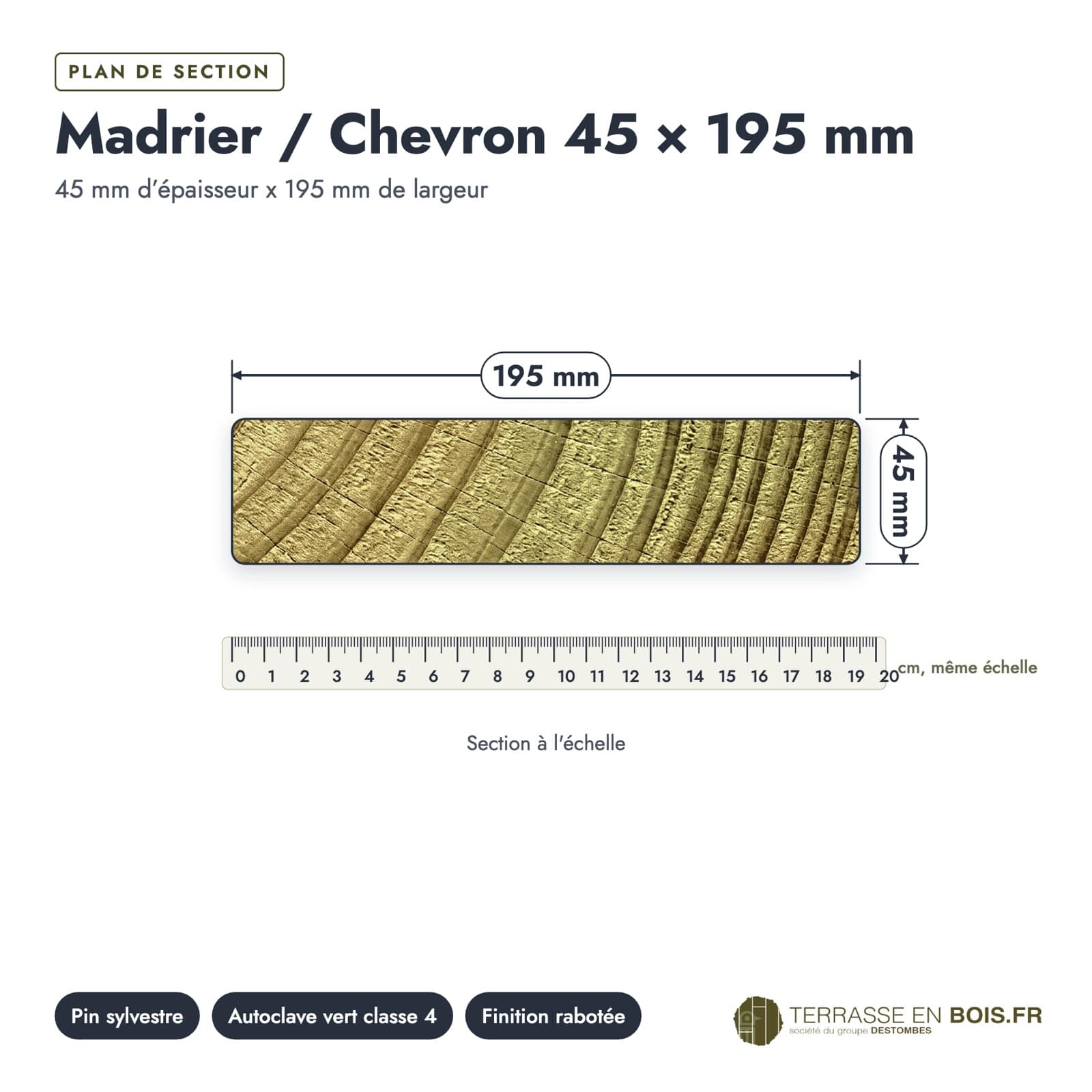 Plan de section coté, sur le vrai bois de bout