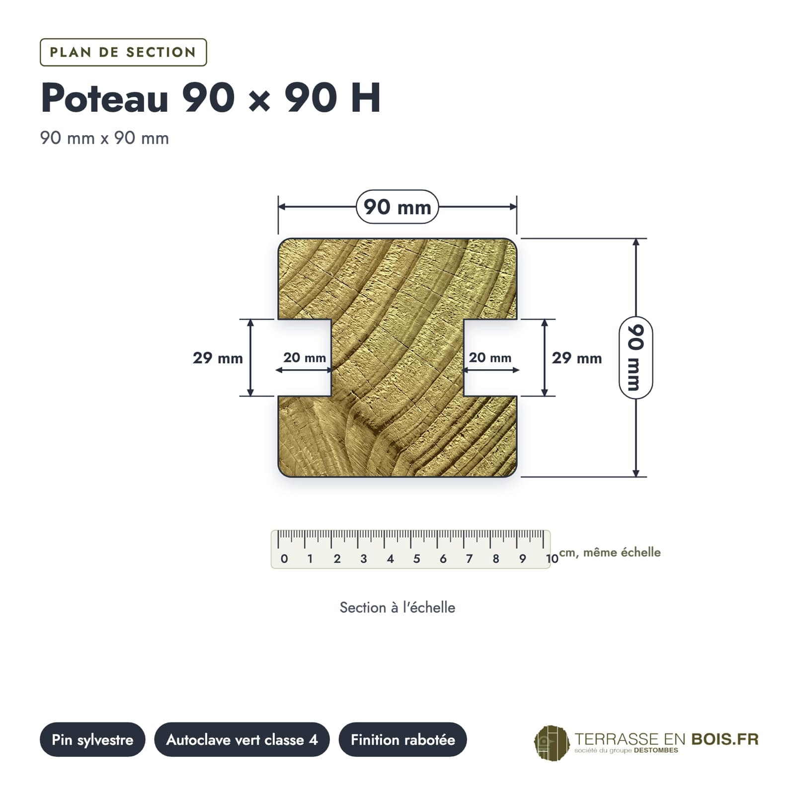 Plan de section coté, sur le vrai bois de bout