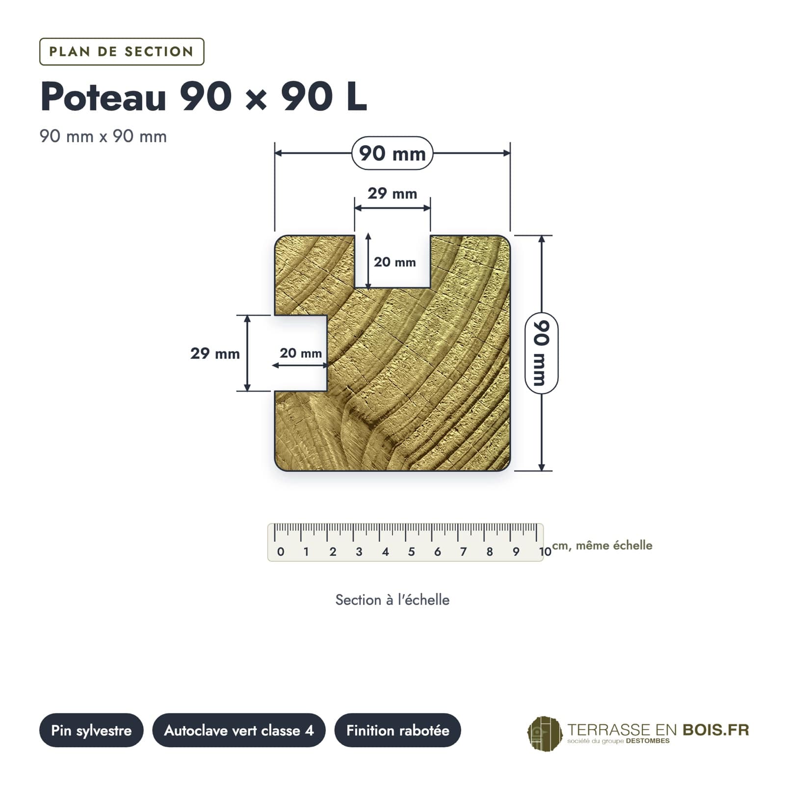 Plan de section coté, sur le vrai bois de bout