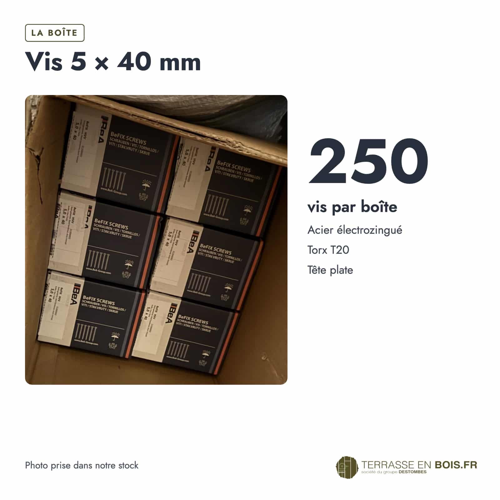 Vis BeFix 5x40 BeA pour sabots et équerres, Torx T20, boîte de 250 : boîte ou ensemble